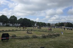 IMG_20250517_094354