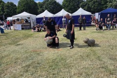 IMG_20250517_155437