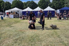 IMG_20250517_155438