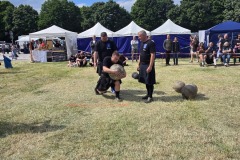 IMG_20250517_155440