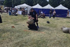 IMG_20250517_160105