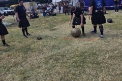 IMG_20250517_160325