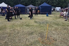 IMG_20250517_161520