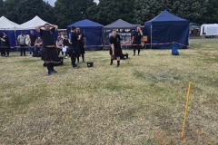 IMG_20250517_161544