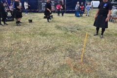 IMG_20250517_161741
