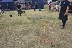 IMG_20250517_161905