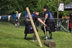 IMG_20250503_114550