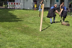 IMG_20250503_115015
