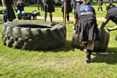 IMG_20250503_121209