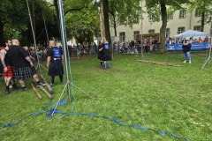 IMG_20250503_150215