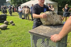 IMG_20250531_105145