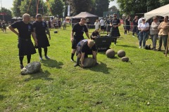 IMG_20250531_105242