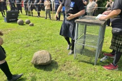 IMG_20250531_105841