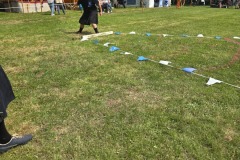 IMG_20250531_112934